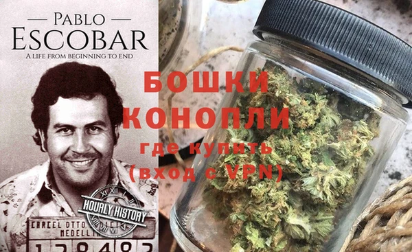 ПСИЛОЦИБИНОВЫЕ ГРИБЫ Иннополис