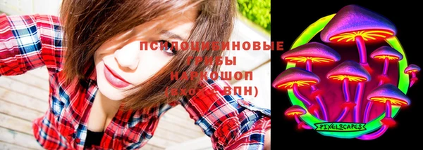 ПСИЛОЦИБИНОВЫЕ ГРИБЫ Иннополис