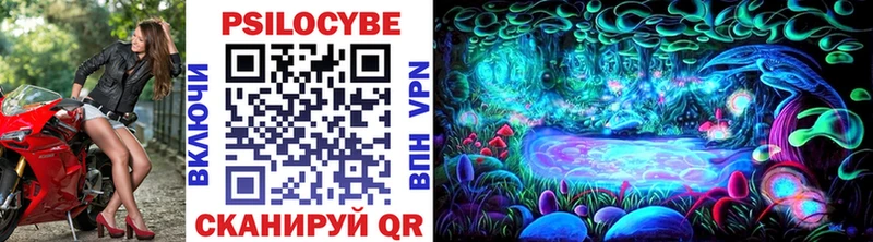 Галлюциногенные грибы Psilocybe  Северобайкальск 