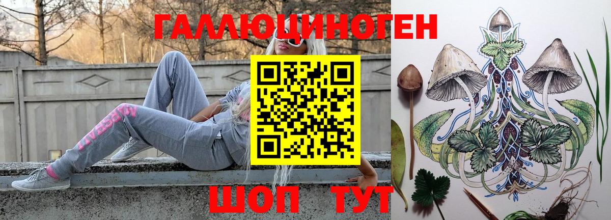Галлюциногенные грибы GOLDEN TEACHER Северобайкальск