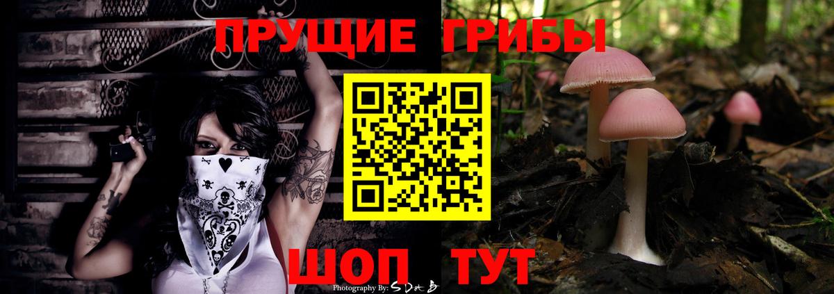 Псилоцибиновые грибы Cubensis  Вход с VPN  Северобайкальск 