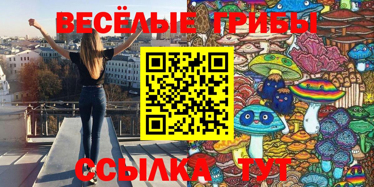 Северобайкальск  что такое   Галлюциногенные грибы Cubensis  Вход с VPN  Псилоцибиновые грибы прущие грибы 